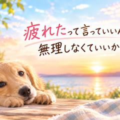 疲れた時、誰かに認めてもらいたい。優しくしてもらいたい。