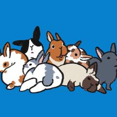 うさぎ