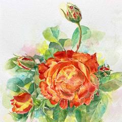 水彩画
