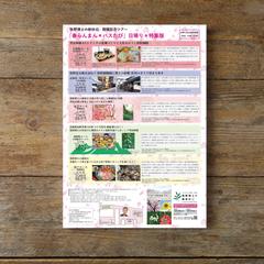 新聞折込チラシ