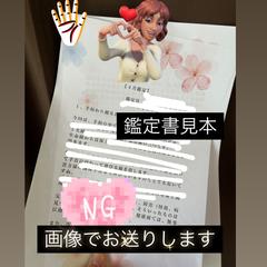 鑑定書見本