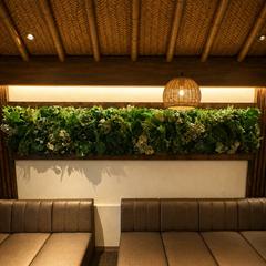 施工完成写真壁面緑化