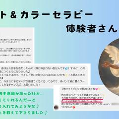 カラット診断の感想頂きました♪
