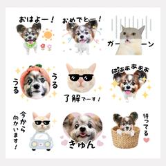 LINEスタンプ♡デザインC
