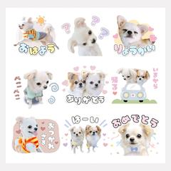 LINEスタンプ♡デザインA