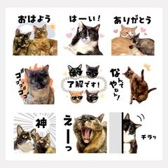 LINEスタンプ♡デザインB