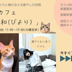 保護猫カフェのショップカード