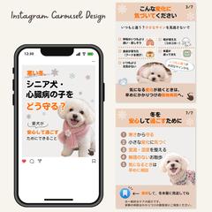 シニア犬の冬の健康管理｜Instagramカルーセル投稿