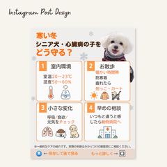 シニア犬の冬の健康管理｜Instagram投稿画像