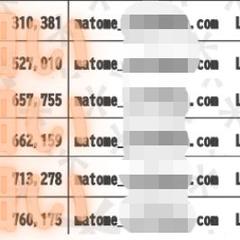 NAVERまとめの収支報告