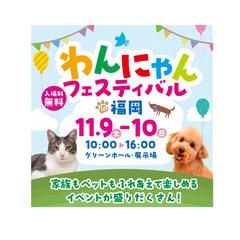 犬猫フェスティバルwebバナー