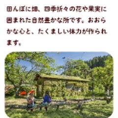 私立保育園（架空）のホームページデザイン