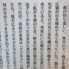 コラム/エッセイ　掲載誌多数