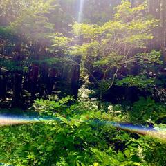 あなたに幸せのパワーを