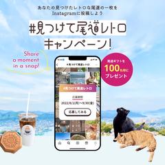 架空のキャンペーンLP
