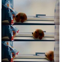 VFX　映像にキャラクターを動かしてみました。