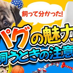 YouTubeサムネイル作成事例