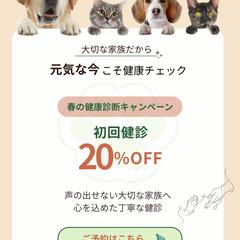架空のペットクリニック春のキャンペーンバナー