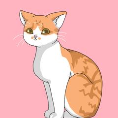 ねこちゃんイラスト見本