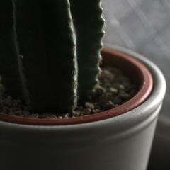 静物・インテリア小物撮影 / 質感を魅せるナチュラル物撮り