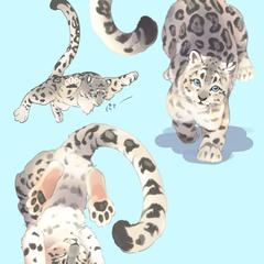 ユキヒョウ