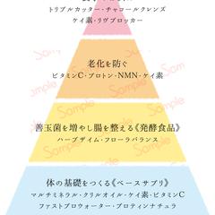 ピラミッド型の商品紹介