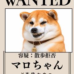 愛犬の写真を「指名手配書」風ポスターに加工