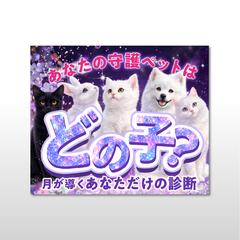 あなたの守護ペットはどの子？