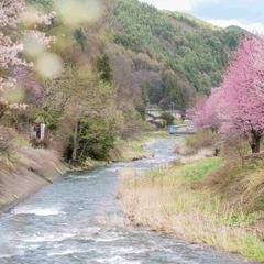 風景写真