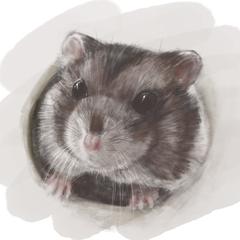 ジャンガリアンハムスターの写真からイラスト起こし