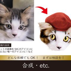 大好きなペットをアイコンに！