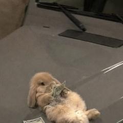 明るく前向きになれる場所^ᴗ ̫ ᴗ^♩