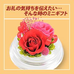 ECサイトのランキング画像