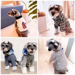 犬服　オーダーサンプル