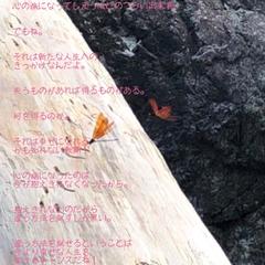心の病とともに生きるために☘️