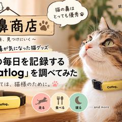 猫用品紹介記事の見出し画像制作