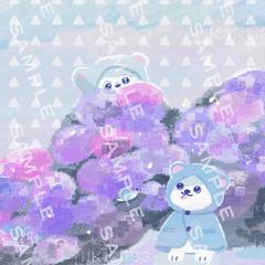 紫陽花とこぐまちゃん