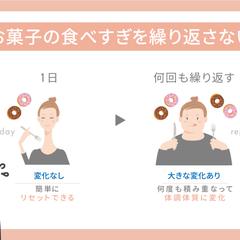 資料作成（女性向け食に関するセミナースライド資料）