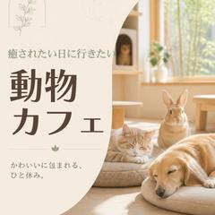 InstagramなどSNS用フィード投稿画像