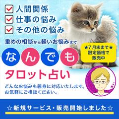 新規サービス【なんでもタロット占い】