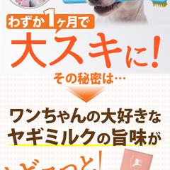PONTAWELL歯磨きジェル