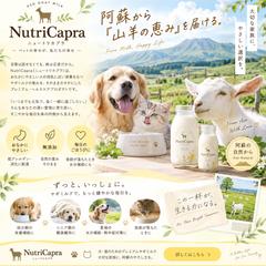 M牧場の新商品の販促用Webデザイン