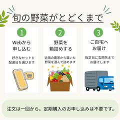 野菜宅配サービスの利用手順図解
