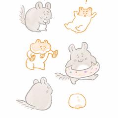 チンチラさんとゴールデンハムちゃん