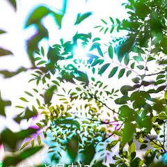 写真と言葉で届けるメッセージ