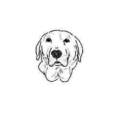 ペットイラスト