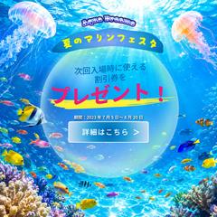 Aqua Dreamsバナー