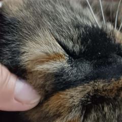 お話、聞きますよ。