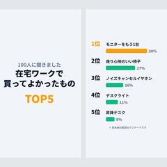 ランキングTOP5動画（見本）