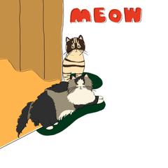 猫